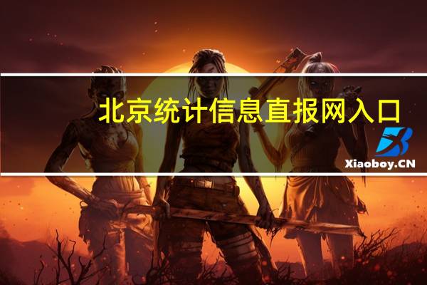 北京统计信息直报网入口（北京统计信息直报网）