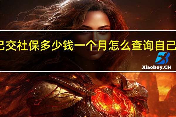 北京自己交社保多少钱一个月　怎么查询自己有没有交社保