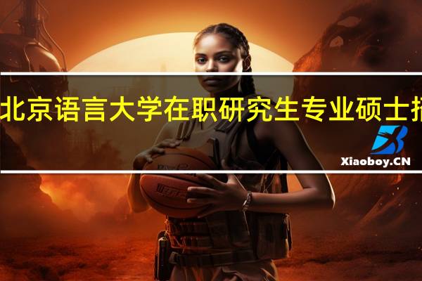 北京语言大学在职研究生专业硕士招生嘛