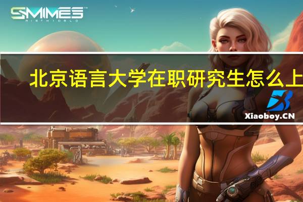 北京语言大学在职研究生怎么上课