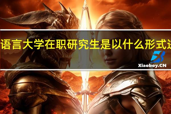北京语言大学在职研究生是以什么形式进行招生的