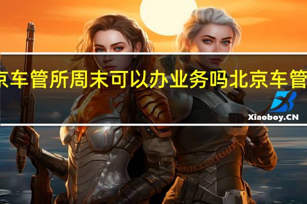 北京车管所周末可以办业务吗 北京车管业务调整