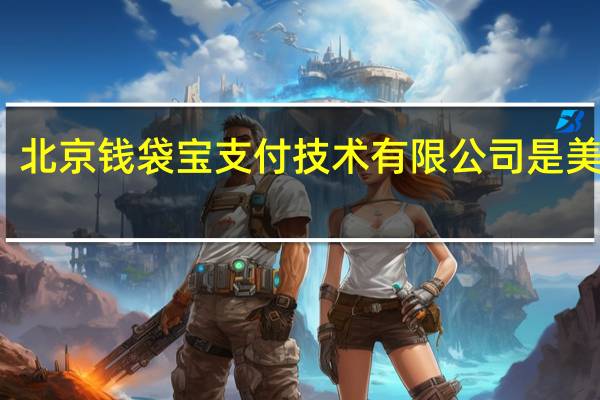 北京钱袋宝支付技术有限公司是美团吗(钱袋宝小精灵非接版简介)