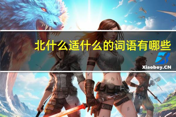 北什么适什么的词语有哪些?