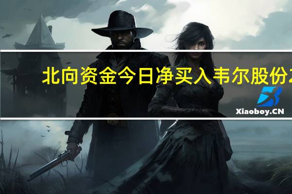 北向资金今日净买入韦尔股份2.85亿、东方财富3.51亿净卖出赛力斯1.65亿、宁德时代11.17亿
