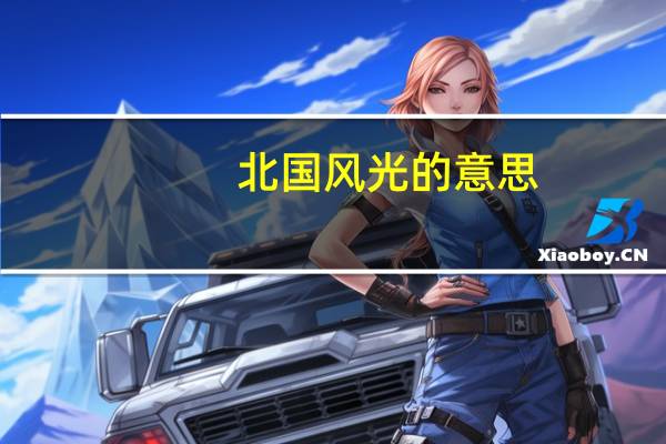 北国风光的意思