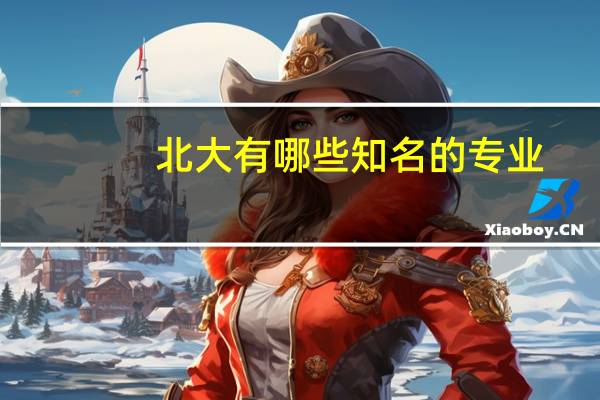 北大有哪些知名的专业