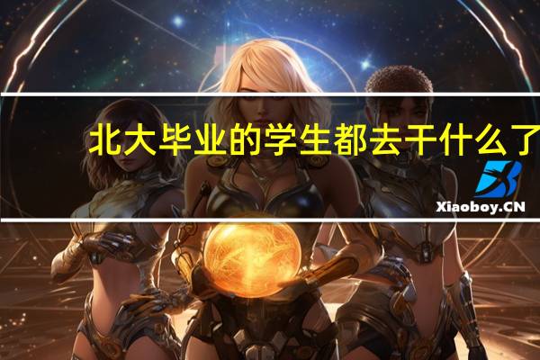 北大毕业的学生都去干什么了