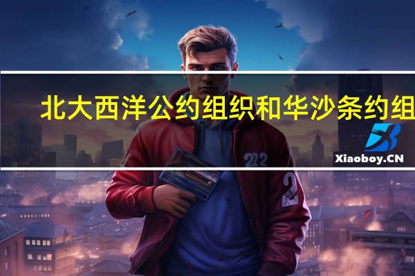 北大西洋公约组织和华沙条约组织（华沙公约组织与北大西洋公约）