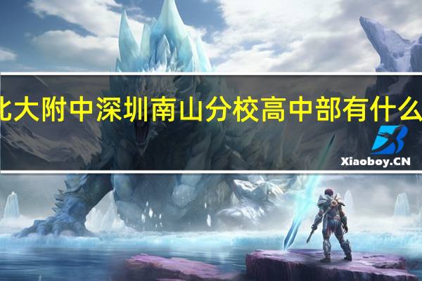 北大附中深圳南山分校高中部有什么优势呢