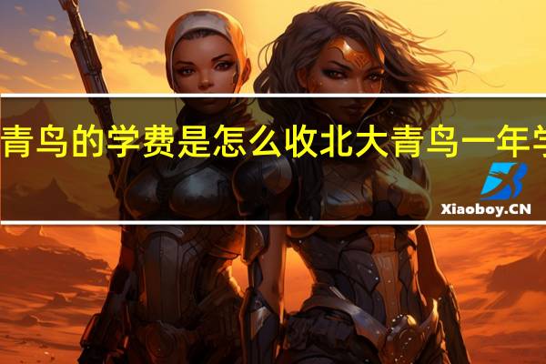 北大青鸟的学费是怎么收 北大青鸟一年学费多少钱