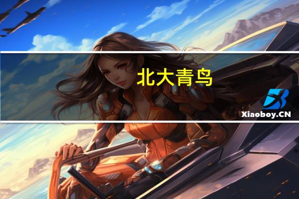 北大青鸟：培养高质量的技术技能型人才