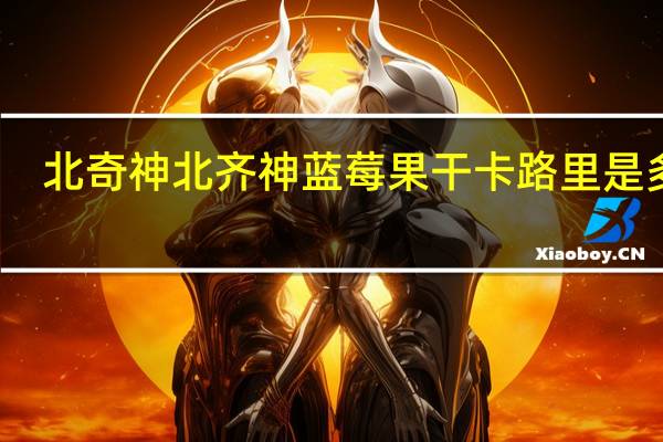 北奇神 北齐神 蓝莓果干卡路里是多少