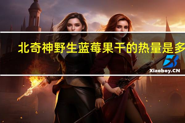 北奇神 野生蓝莓果干的热量是多少