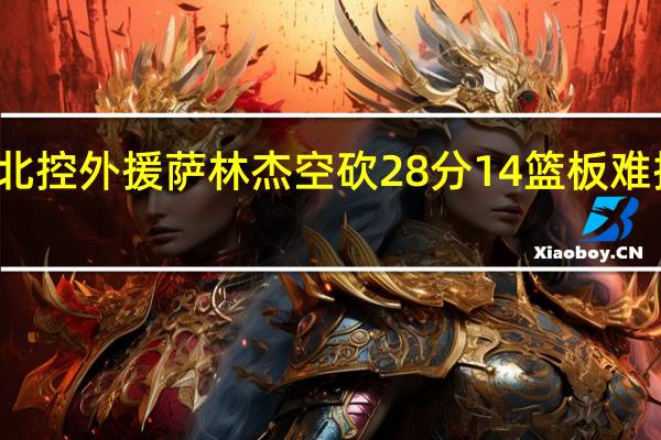 北控外援萨林杰空砍28分14篮板 难挽败局