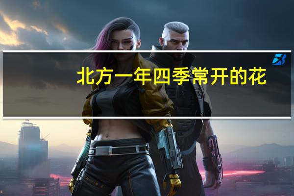 北方一年四季常开的花（北方四季常开的花）