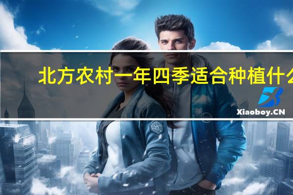 北方农村一年四季适合种植什么
