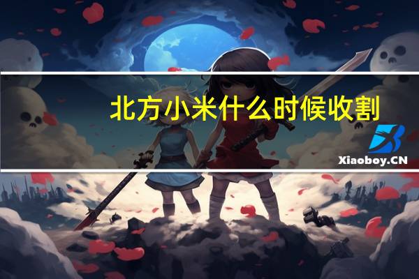 北方小米什么时候收割