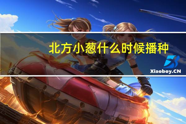 北方小葱什么时候播种