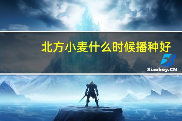 北方小麦什么时候播种好