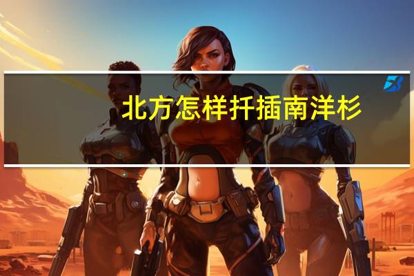 北方怎样扦插南洋杉