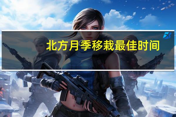 北方月季移栽最佳时间