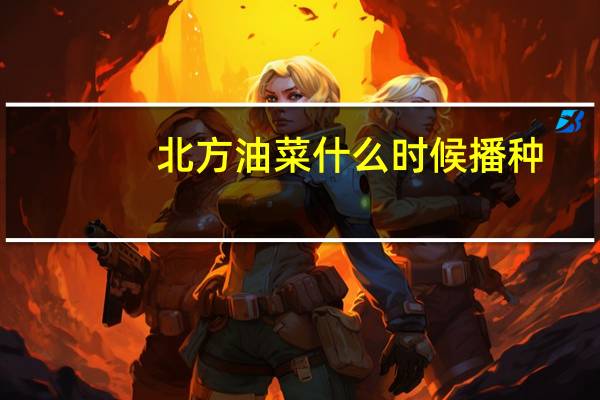 北方油菜什么时候播种