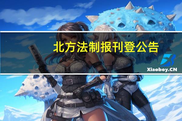 北方法制报刊登公告（北方法制周末网简介）