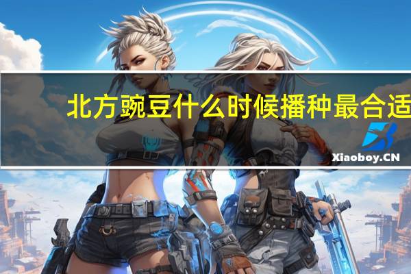北方豌豆什么时候播种最合适