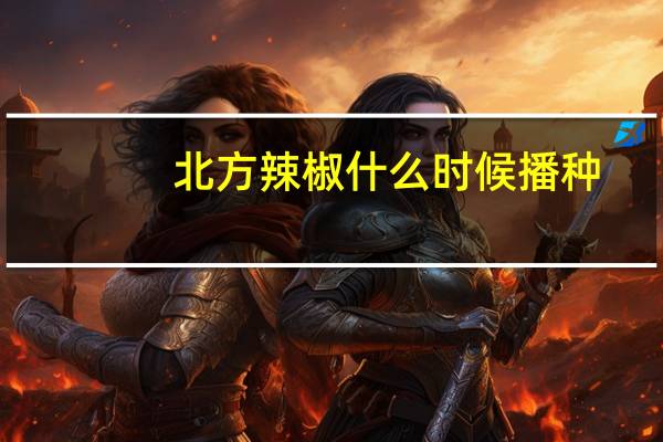 北方辣椒什么时候播种