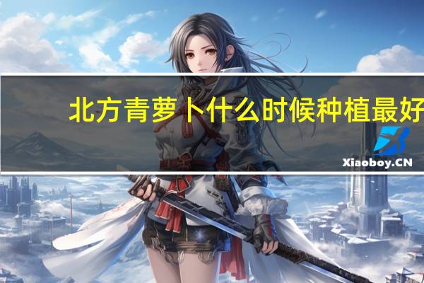 北方青萝卜什么时候种植最好