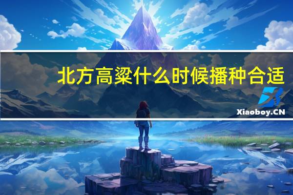 北方高粱什么时候播种合适