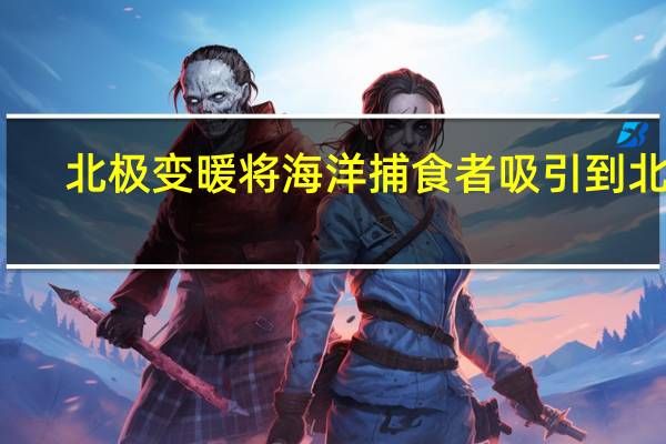 北极变暖将海洋捕食者吸引到北方