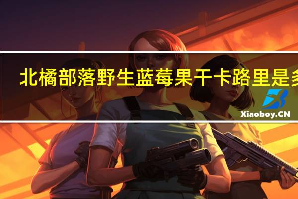北橘部落 野生蓝莓果干卡路里是多少