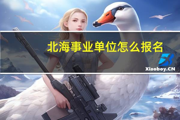 北海事业单位怎么报名