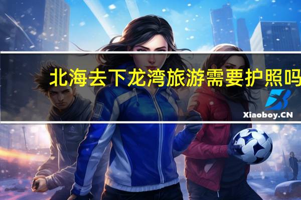北海去下龙湾旅游需要护照吗
