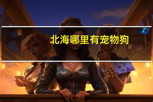 北海哪里有宠物狗