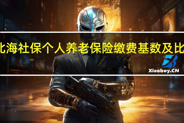 北海社保个人养老保险缴费基数及比例一览
