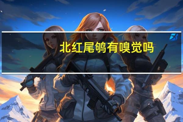 北红尾鸲有嗅觉吗