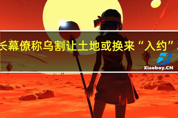 北约秘书长幕僚称乌割让土地或换来“入约” 乌称该想法荒谬