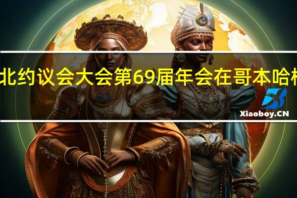 北约议会大会第69届年会在哥本哈根闭幕