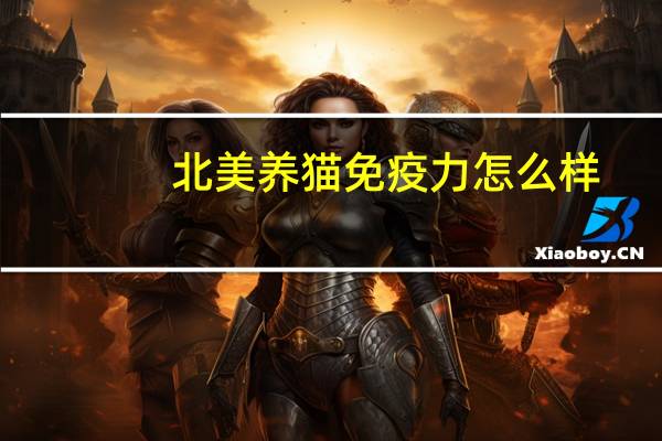 北美养猫免疫力怎么样