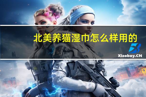 北美养猫湿巾怎么样用的