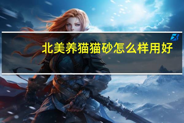 北美养猫猫砂怎么样用好