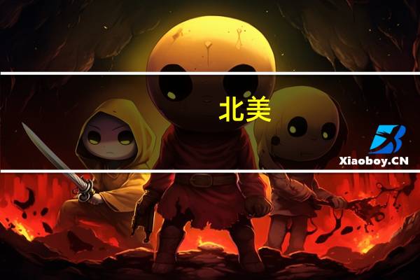 北美，英国，小日本的精算师的差异