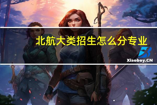 北航大类招生怎么分专业