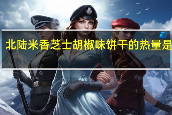 北陆 米香芝士胡椒味饼干的热量是多少