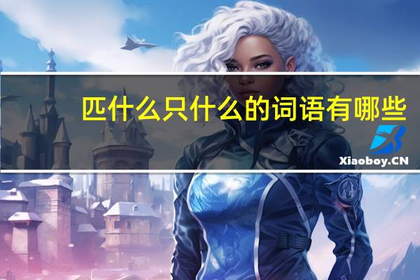 匹什么只什么的词语有哪些?