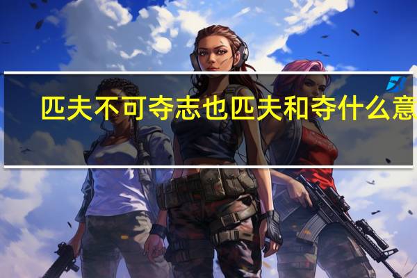 匹夫不可夺志也匹夫和夺什么意思
