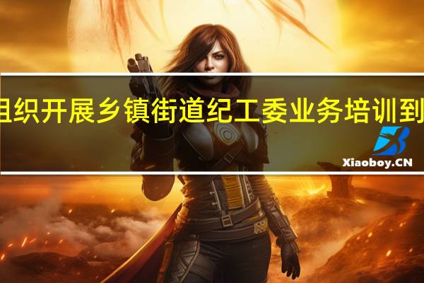 区纪委组织开展乡镇 街道纪 工委业务培训 到底什么情况嘞